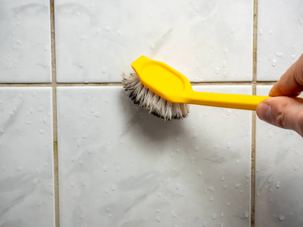 Best Residential Mold Remediation in Walnutport, PA